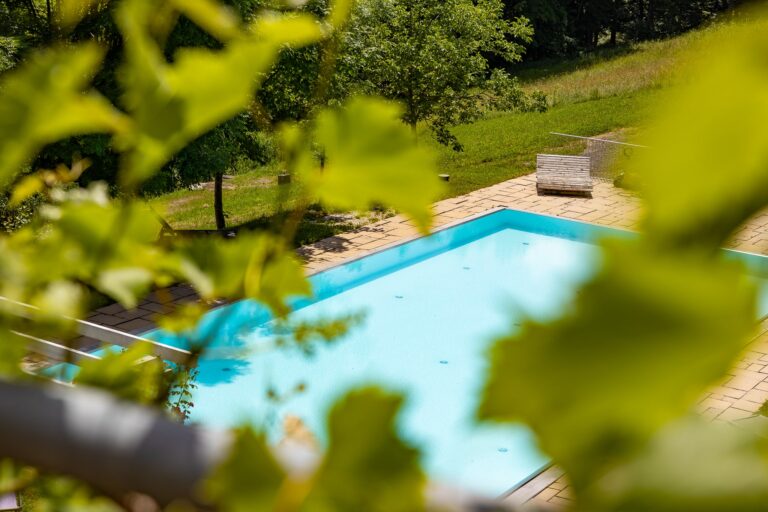 Das Pool umrahmt von Weinblättern
